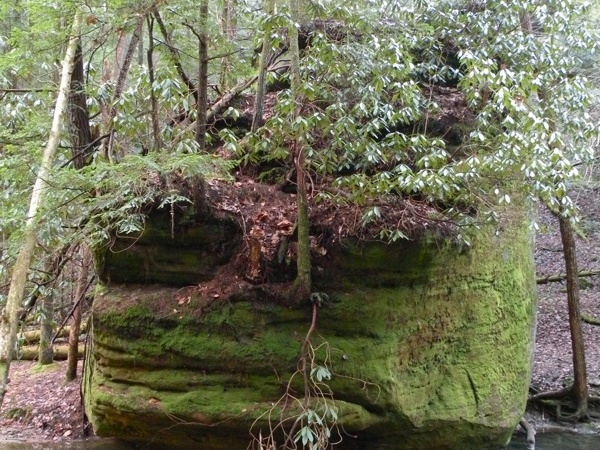 Chimney Top Creek - Koomer Ridge Trail - 2